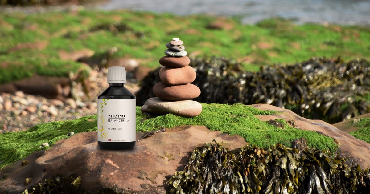 BalanceOil+ Vegan Veganes Omega-3 Balance-Öl mit Zitronengeschmack – Für Deine innere Balance & Gesundheit.